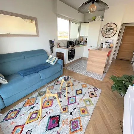 Les Grands Cedres 2 Pieces Vue Apartment Nice