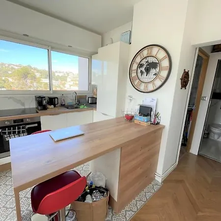 Apartment Les Grands Cedres 2 Pieces Vue Nice