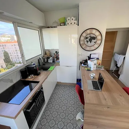 Les Grands Cedres 2 Pieces Vue Apartment *