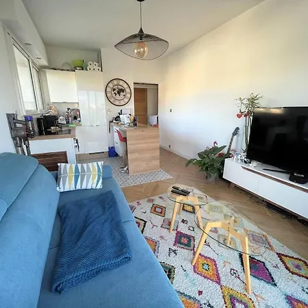 Apartment Les Grands Cedres 2 Pieces Vue Nice