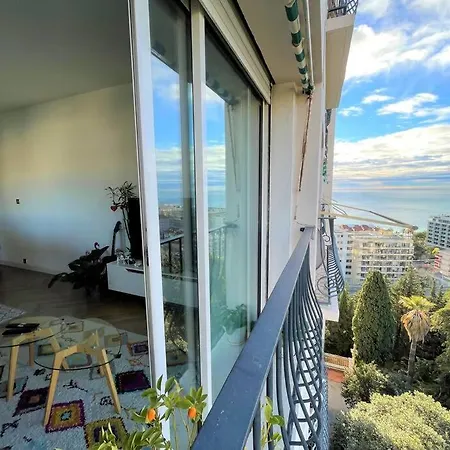 Les Grands Cedres 2 Pieces Vue * Nice