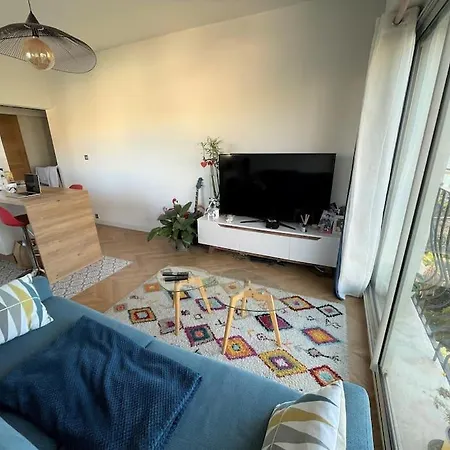 Les Grands Cedres 2 Pieces Vue Apartment Nice